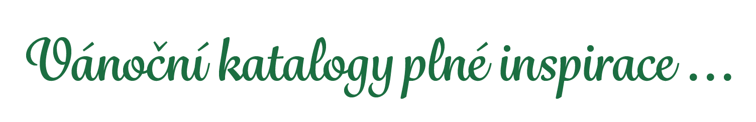 V no n katalogy pln  inspirace ...
