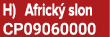 H) Africk slon CP09060000