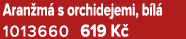 Aran m s orchidejemi, b l  1013660 619 K 