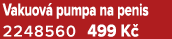 Vakuov pumpa na penis 2248560 499 K 