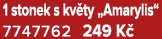 1 stonek s kv ty „Amarylis“ 7747762 249 K 