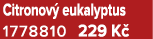 Citronov eukalyptus 1778810 229 K 