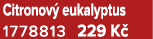 Citronov eukalyptus 1778813 229 K 