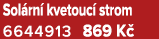 Sol rn kvetouc  strom 6644913 869 K 