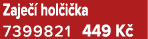 Zaje  hol i ka 7399821 449 K 