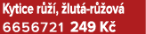 Kytice r  ,  lut  r  ov  6656721 249 K 
