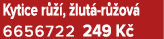 Kytice r  ,  lut  r  ov  6656722 249 K 