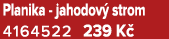 Planika jahodov strom 4164522 239 K 