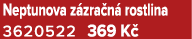 Neptunova z zra n rostlina 3620522 369 K 