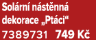 Sol rn n st nn  dekorace „Pt ci“ 7389731 749 K 
