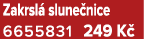 Zakrsl slune nice 6655831 249 K 