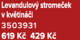 Levandulov strome ek v kv tin  i 3503931 619 K  429 K 