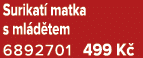 Surikat matka s ml d tem 6892701 499 K 