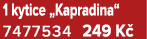 1 kytice „Kapradina“ 7477534 249 K 