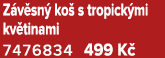 Z v sn ko  s tropick mi kv tinami 7476834 499 K 