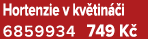 Hortenzie v kv tin i 6859934 749 K 