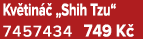 Kv tin  „Shih Tzu“ 7457434 749 K 