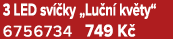 3 LED sv ky „Lu n  kv ty“ 6756734 749 K 