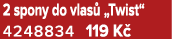 2 spony do vlas „Twist“ 4248834 119 K 