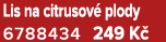 Lis na citrusov plody 6788434 249 K 