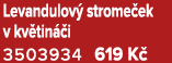 Levandulov strome ek v kv tin  i 3503934 619 K 