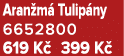 Aran m Tulip ny 6652800 619 K  399 K 