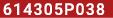 614305P038