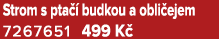 Strom s pta  budkou a obli ejem 7267651 499 K 