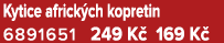 Kytice africk ch kopretin 6891651 249 K 169 K 