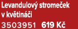 Levandulov strome ek v kv tin  i 3503951 619 K 