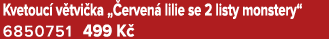 Kvetouc v tvi ka „ erven  lilie se 2 listy monstery“ 6850751 499 K 