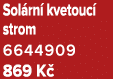 Sol rn kvetouc  strom 6644909 869 K 