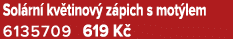 Sol rn kv tinov  z pich s mot lem 6135709 619 K 