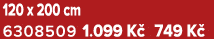 120 x 200 cm 6308509 1.099 K 749 K 