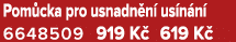 Pom cka pro usnadn n us n n  6648509 919 K  619 K 
