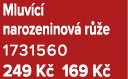 Mluv c narozeninov  r  e 1731560 249 K  169 K 