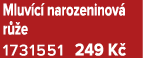 Mluv c narozeninov  r  e 1731551﻿﻿ 249 K 