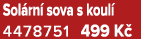 Sol rn sova s ​koul  4478751﻿﻿ 499 K 
