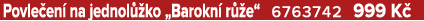 Povle en na jednol  ko „Barokn  r  e“ 6763742 999 K 