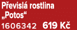 P evisl rostlina „Potos“ 1606342 619 K 