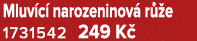 Mluv c narozeninov  r  e 1731542 249 K 
