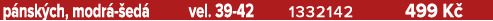 p nsk ch, modr  ed  vel. 39 42 1332142 499 K 