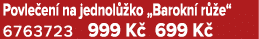 Povle en na jednol  ko „Barokn  r  e“ 6763723 999 K  699 K 