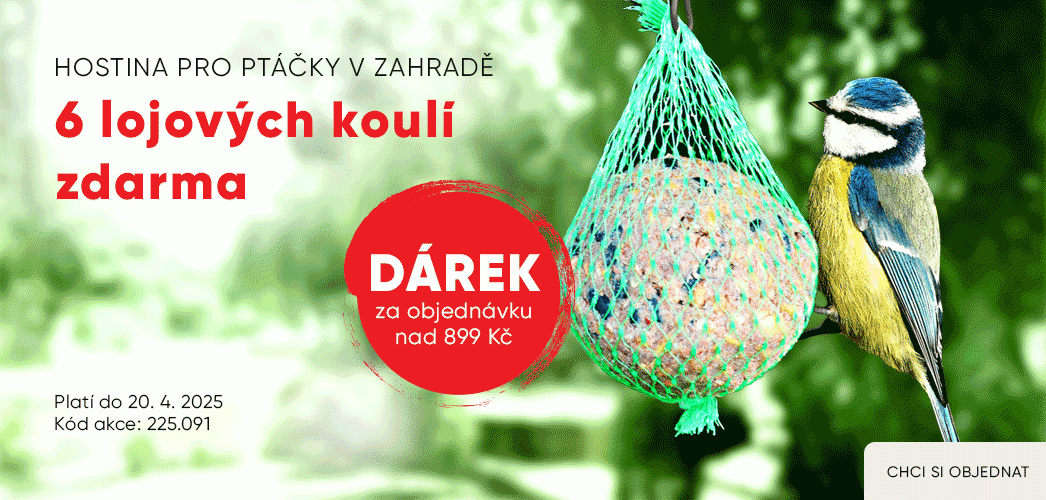 Dárek